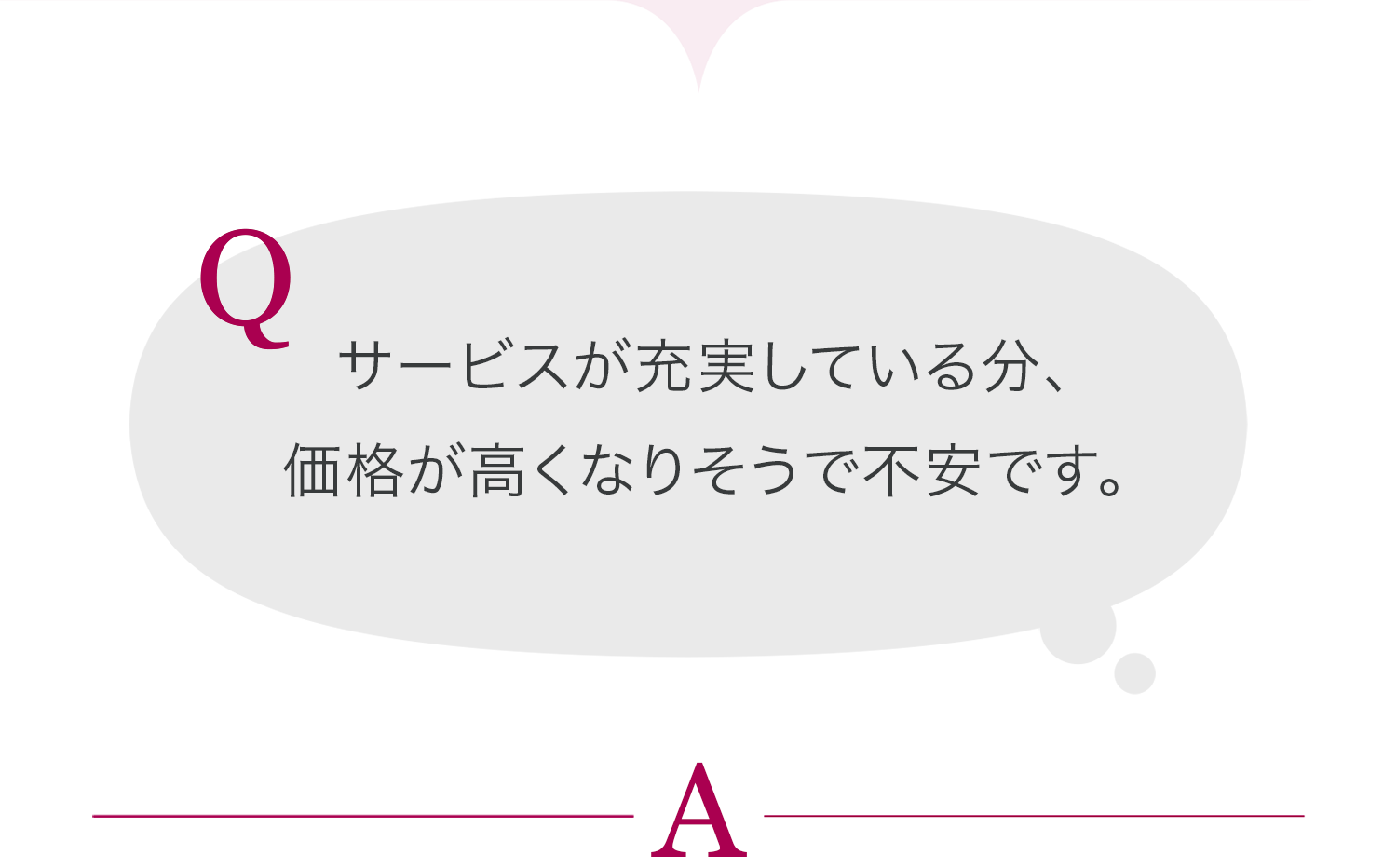 サービスが充実している分、価格が高くなりそうで不安です。
